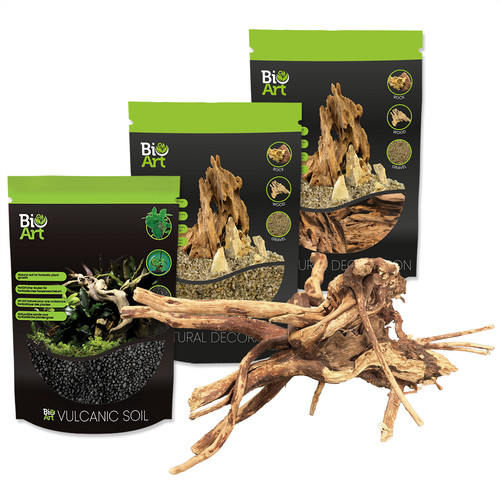 Bioart terrarium decoration - terrarium,