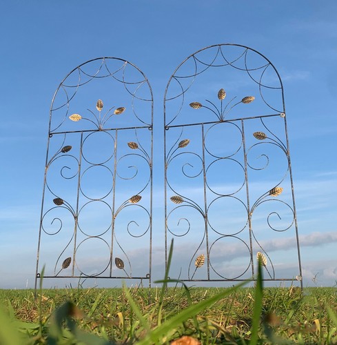 Metal trellis garden plant - metal,