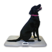 Marsden 110 veterinary scale - v-110,