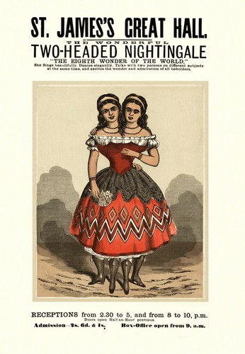 Victorian circus act millie - act, &
