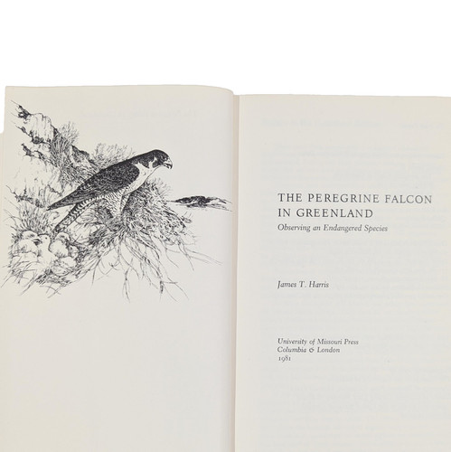 The peregrine falcon - the,