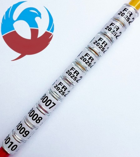 2025 pigeon leg - 2025, 10