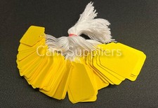 Yellow Strung Tickets 30 x 48