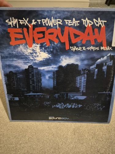 Shy everyday chase - fx,