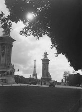 Marly horses on the Place de