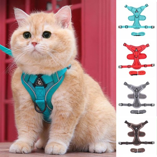Adjustable cat harness and - cat,