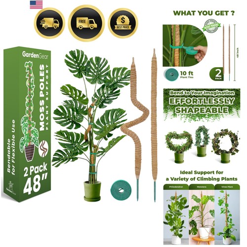Plant support moss poles - plant,