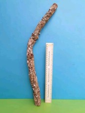 CORK BARK BRANCH 49CM LEOPARD