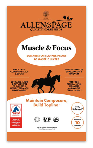 Allen page muscle focus - page, &