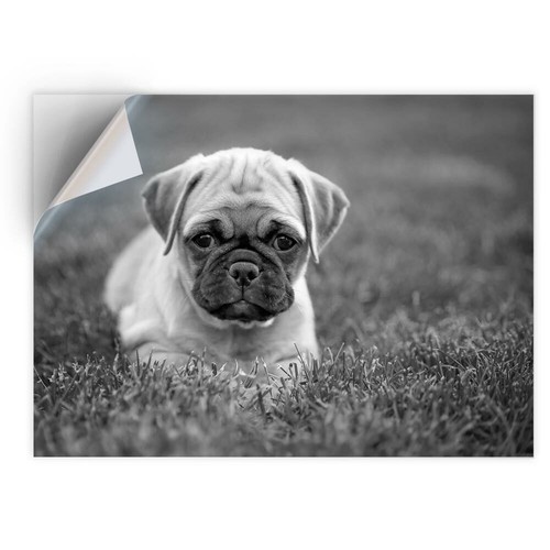 Vinyl sticker bw - x,