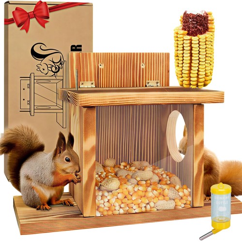 Squirrel feeder wooden - squirrel,