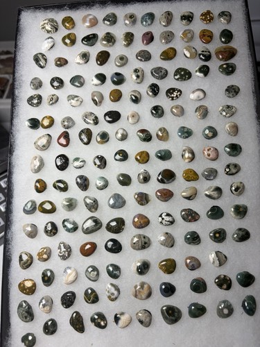 Ocean jasper cabs - ocean,