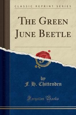 The green june beetle classic - june, (classic