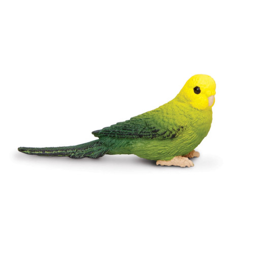 Safari ltd green - safari,
