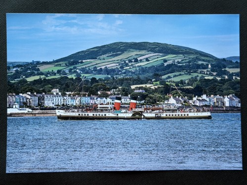12x8 print paddle - print, steamer