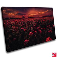 POPPY FIELD RED FLOWERS