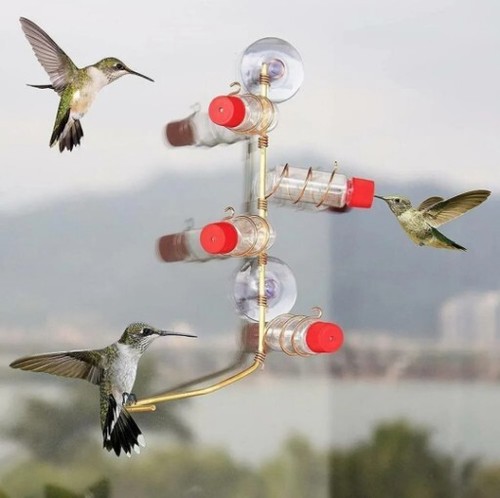 Window suction cup hummingbird - window,
