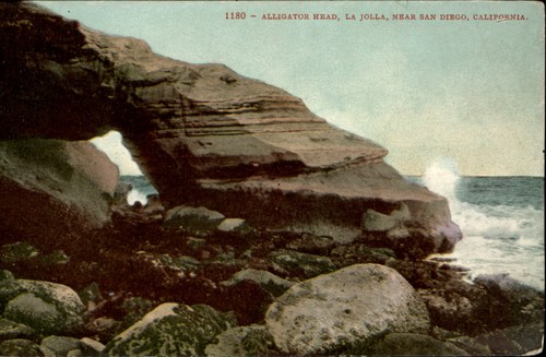 Alligator head rock formation - alligator,