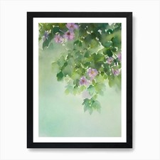 Favia Storybook Watercolour