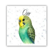 Budgie budgerigar Personalised