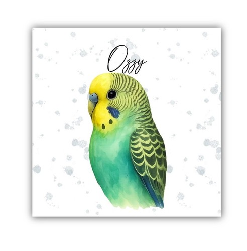 Budgie budgerigar personalised - budgie,