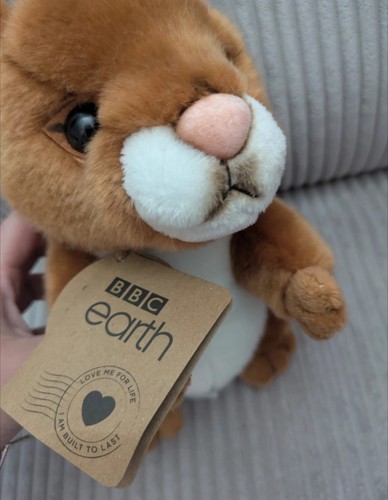 Bbc earth red squirrel - red, soft