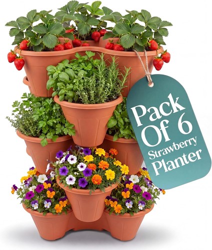 Tier stackable strawberry - 6,