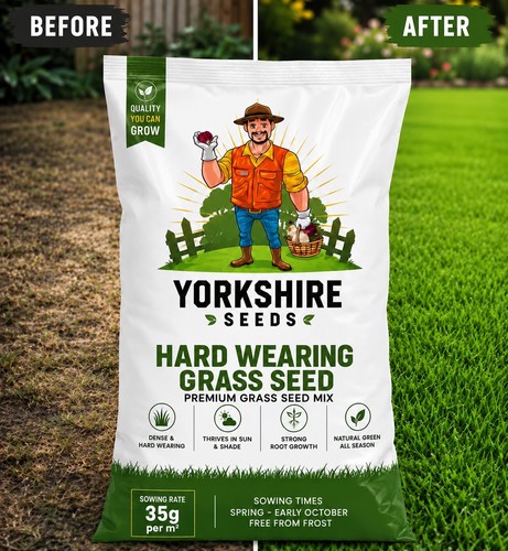 Luxury hard wearing grass seed - grass,