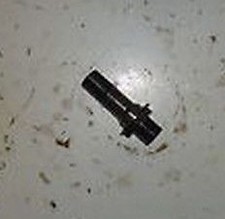 TRIUMPH TT 600 SPEED FOUR 2002