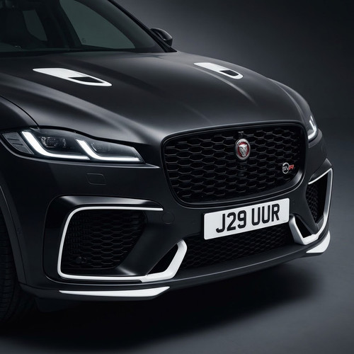 Hide the age your jaguar - hide,