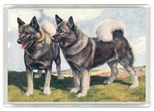 ELKHOUND DOG FRIDGE MAGNET