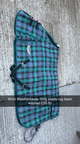 Weatherbeeta 100g - weatherbeeta,