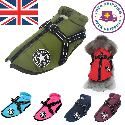 Dog coat waterproof with - dog,
