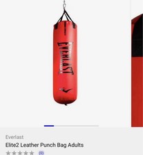 Everlast punching Bag 45kg