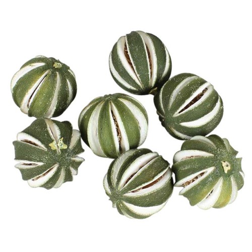 Dried fruit apples oranges - fruit,