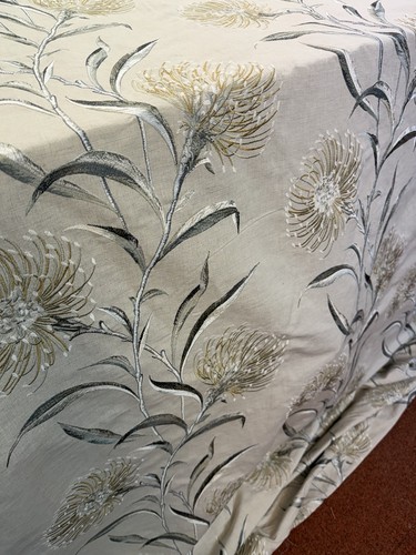 Sanderson catherinae - sanderson,