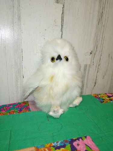 Baby owl plush wildlife - baby,