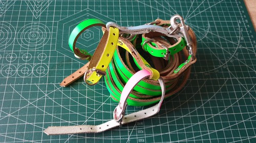Leather ferret style - ferret,
