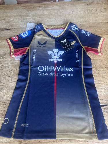Llanelli scarlets rugby - scarlets,