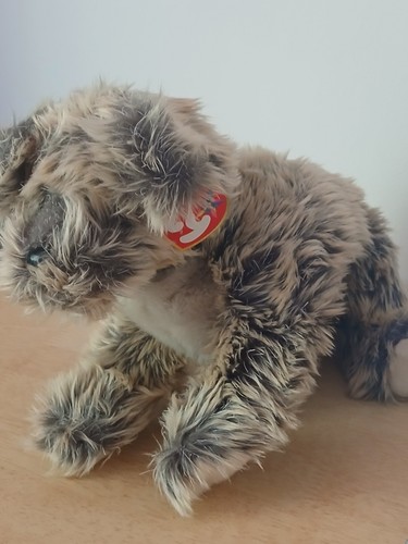 Beanie buddy cutesy - cutesy, dog