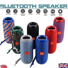 40W Portable Wireless