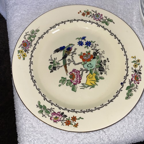 Adderley ware england - adderley,