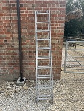 Double 10 Runged Ladder