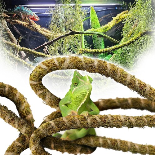 10ft reptile vines for - reptile,