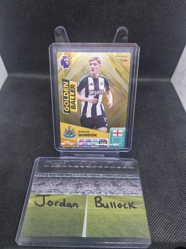 Panini adrenalyn premier - adrenalyn,