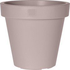 Taupe large plant - taupe,