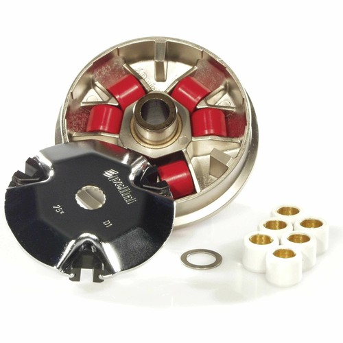 Polini variator piaggio - polini,
