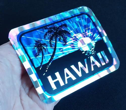 Hawaii silhouette surf prism - hawaii,