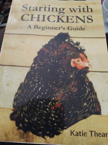 Chicken keeping small - chicken, keeping-
