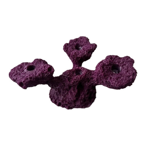 Sandbed hole tripod coral - sandbed,